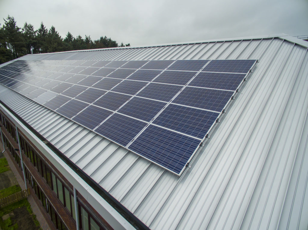 green-roofing-solar-panels-services