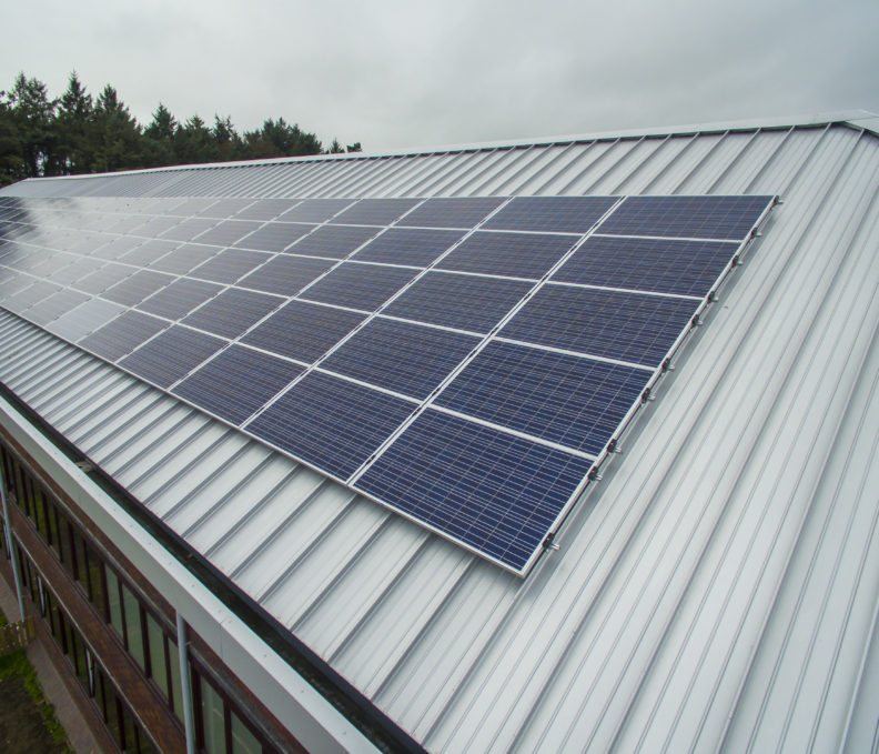 green-roofing-solar-panels-services